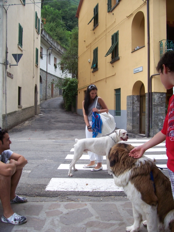  Image name: Persone030.jpg 
 width: 601 pixel 
 height: 800 pixel 
 Size: 390639 bytes 
 Click to enlarge 